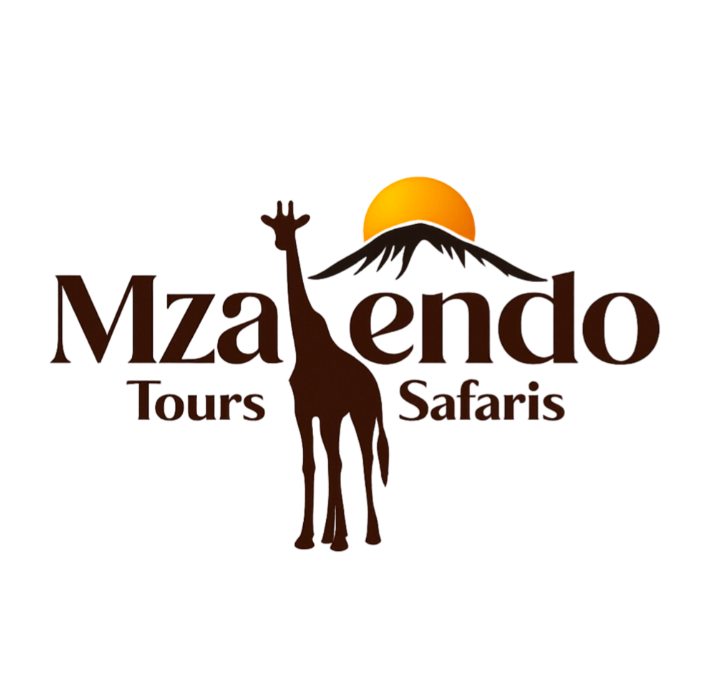 Mzalendo Tours & Safaris